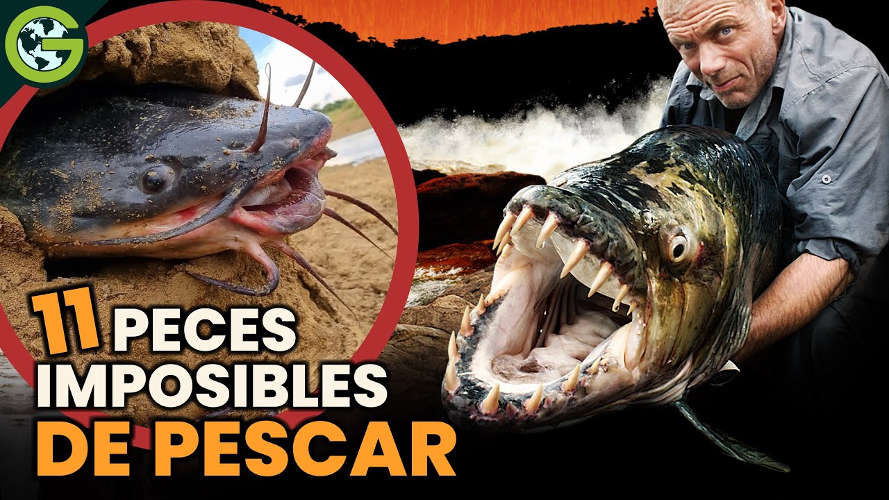 11 PECES más DIFÍCILES de PESCAR en el MUNDO 🐟