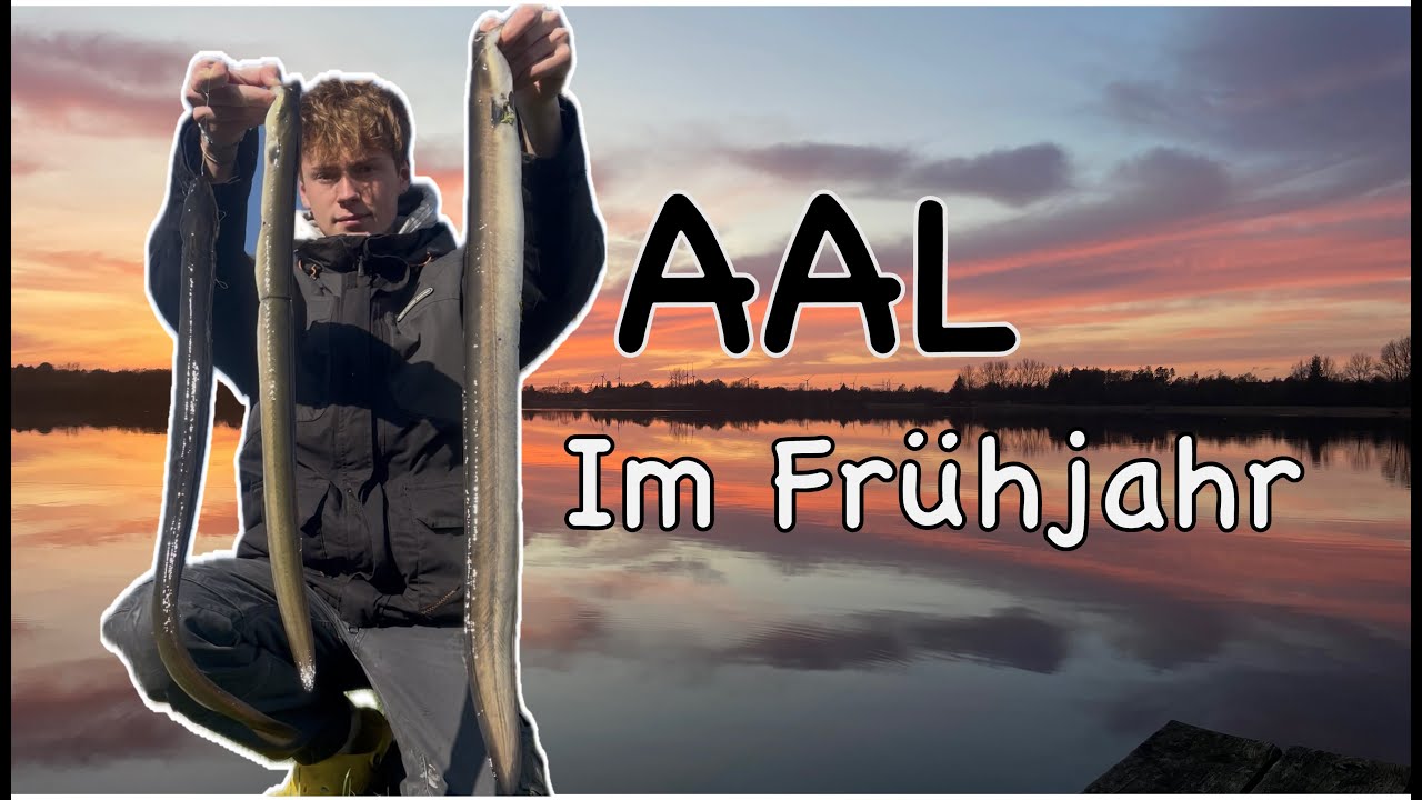 Erfolgreich Aal angeln vom Boot, im Fr&uuml;hjahr!