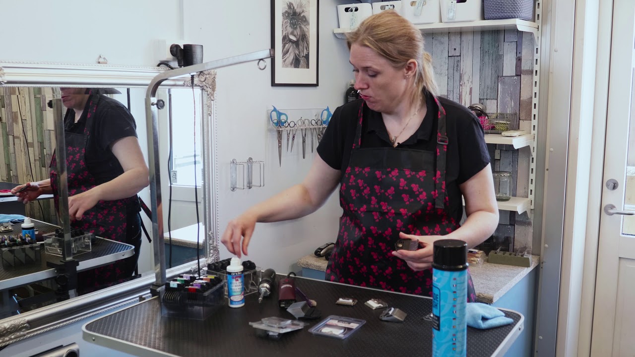 Valg af klippemaskine og skær - Hvad er forskellen på et Skær og et afstandsstykke?