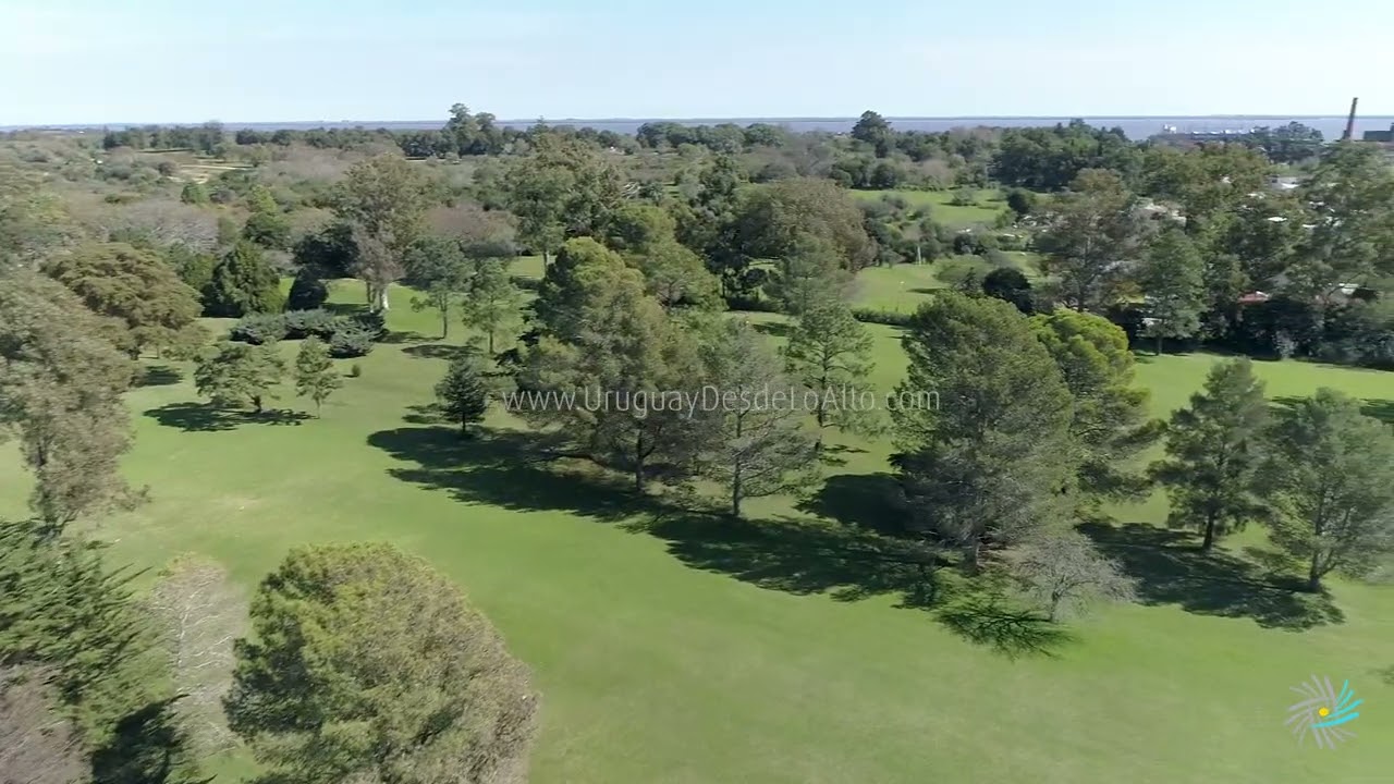 Video a&eacute;reo en Barrio Anglo, Fray Bentos P4P 40315