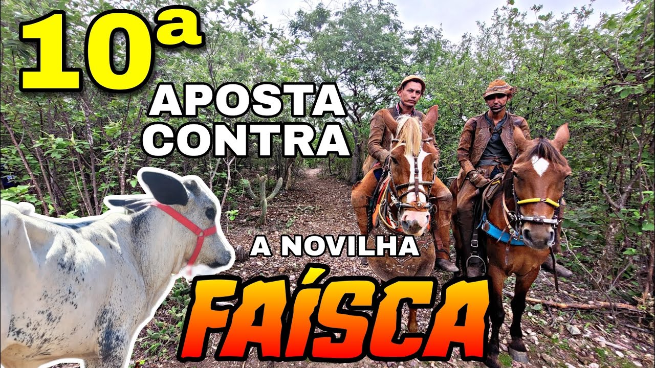 VAQUEIROS DOUTOR E MÁRCIO CONTRA A NOVILHA FAÍSCA