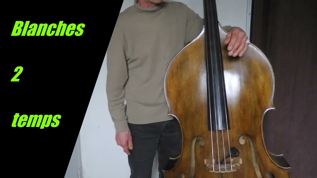 Initiation à la Contrebasse  et Walking Bass Chapitre 1er