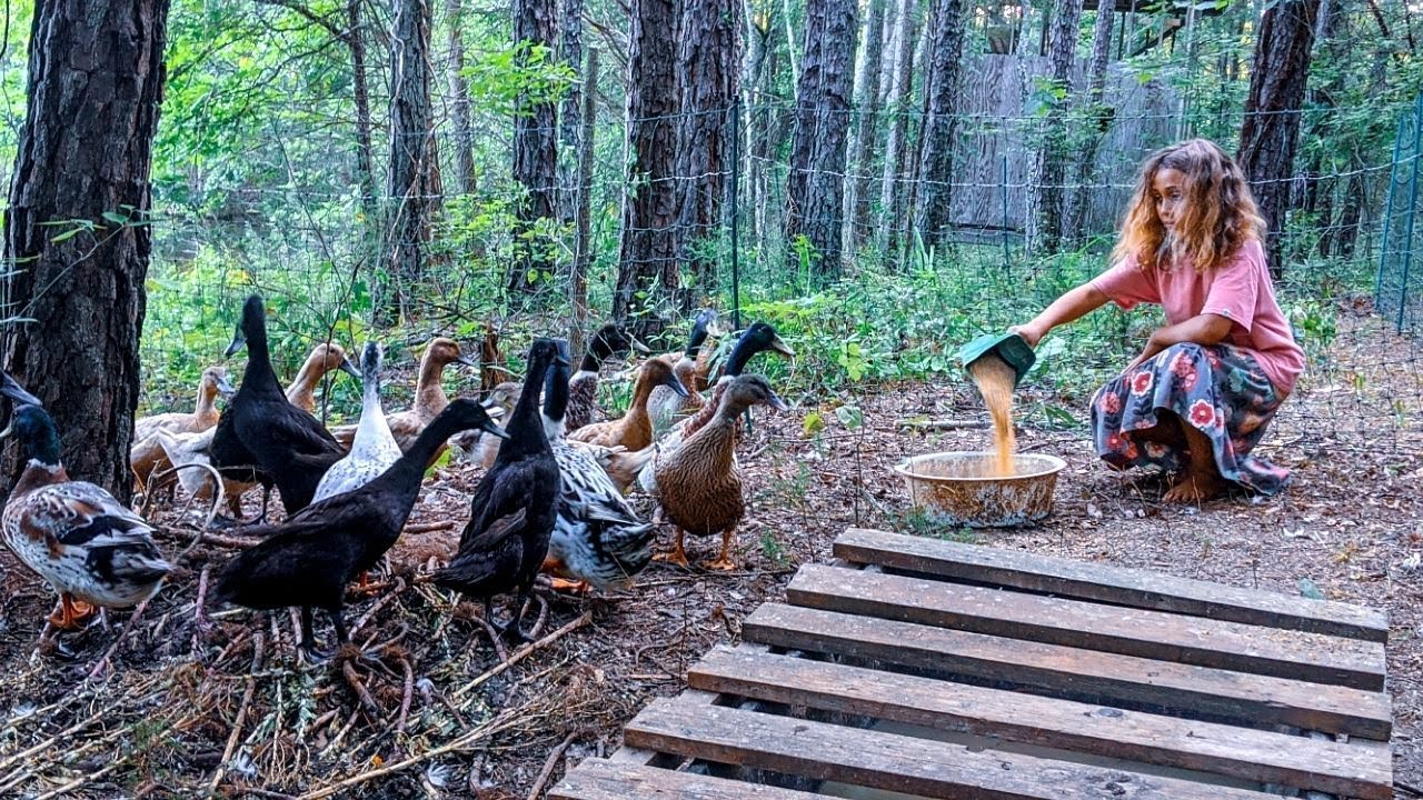 10 year old RAISES DUCKS