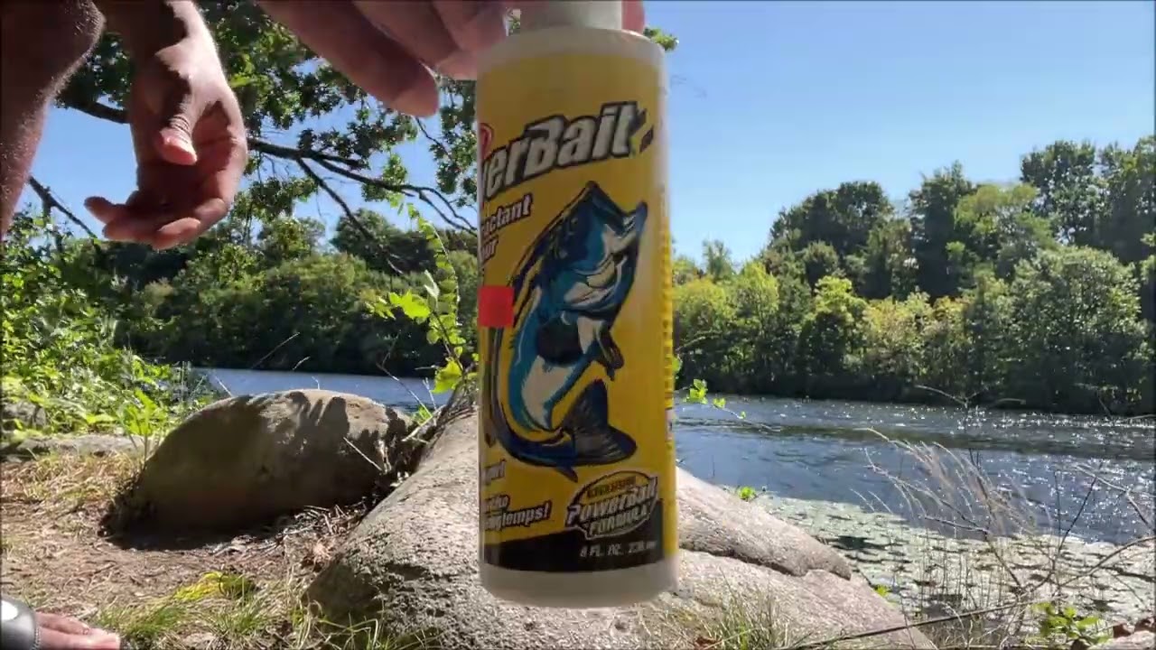 Charles River Fishing - Another Day Fishing At Work