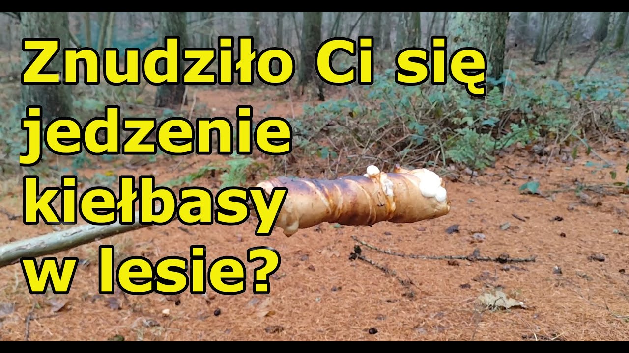 Znudziło Ci się jedzenie kiełbasy w lesie??                                     #bushcraft #survival