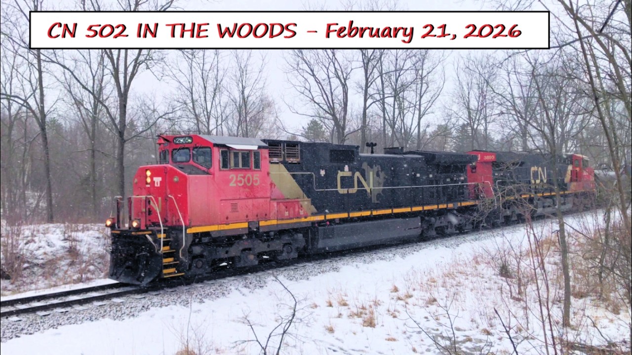 CN 502 IN THE WOODS – February 21, 2026