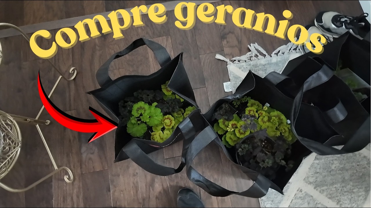 Compre mas Geranios | Seattle Convention Center | Vlog