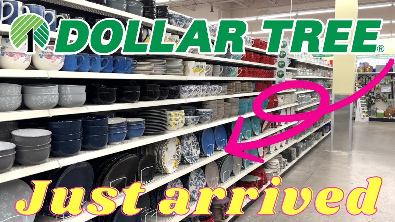 NEW Dollar Tree SHOP with me