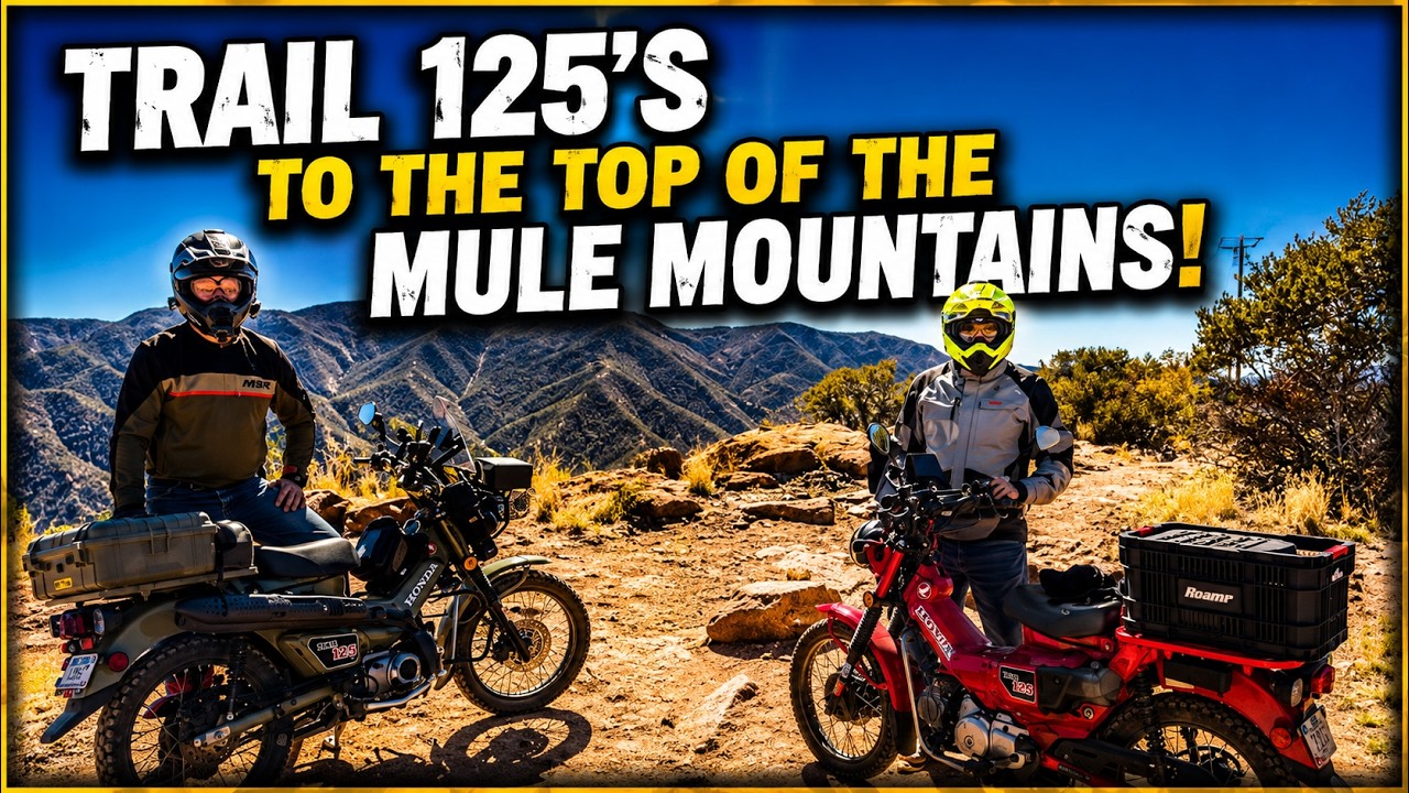 We Ride The Honda Trail 125's to the to of the Mule Mountains Arizona #CT125 #trail125