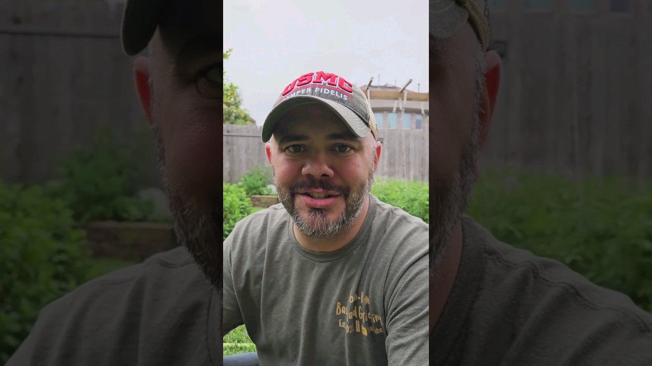 Did You Know There are Male & Female Flowers? Let Me Show You What to Look For || DHBG