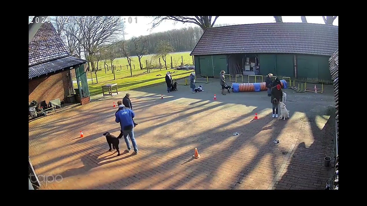Hundeschule Wolf und Co am 15.Februar.2026 #hundepension #hundeschule #hundefutter