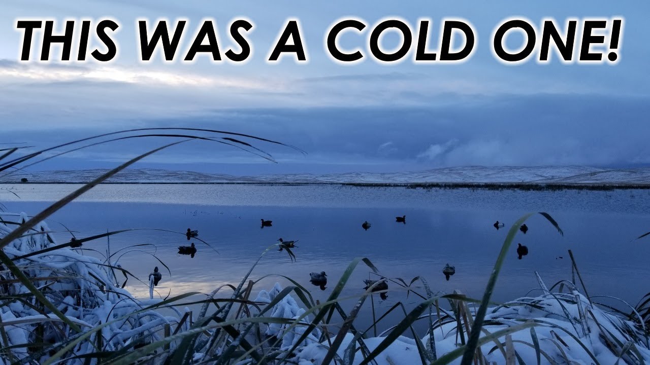A Snowy Swim in the Sandhills | Duck Hunt 2018