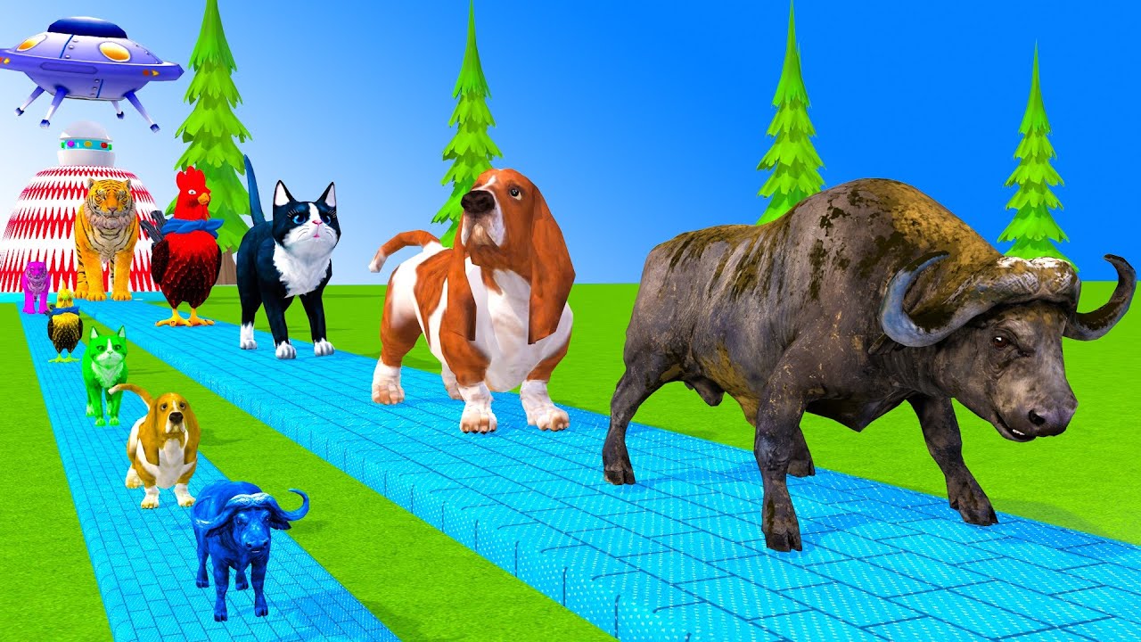 Long Slide Game With Cow Elephant Gorilla Hippopotamus Tiger 3d Animal Game Funny 3d Animals