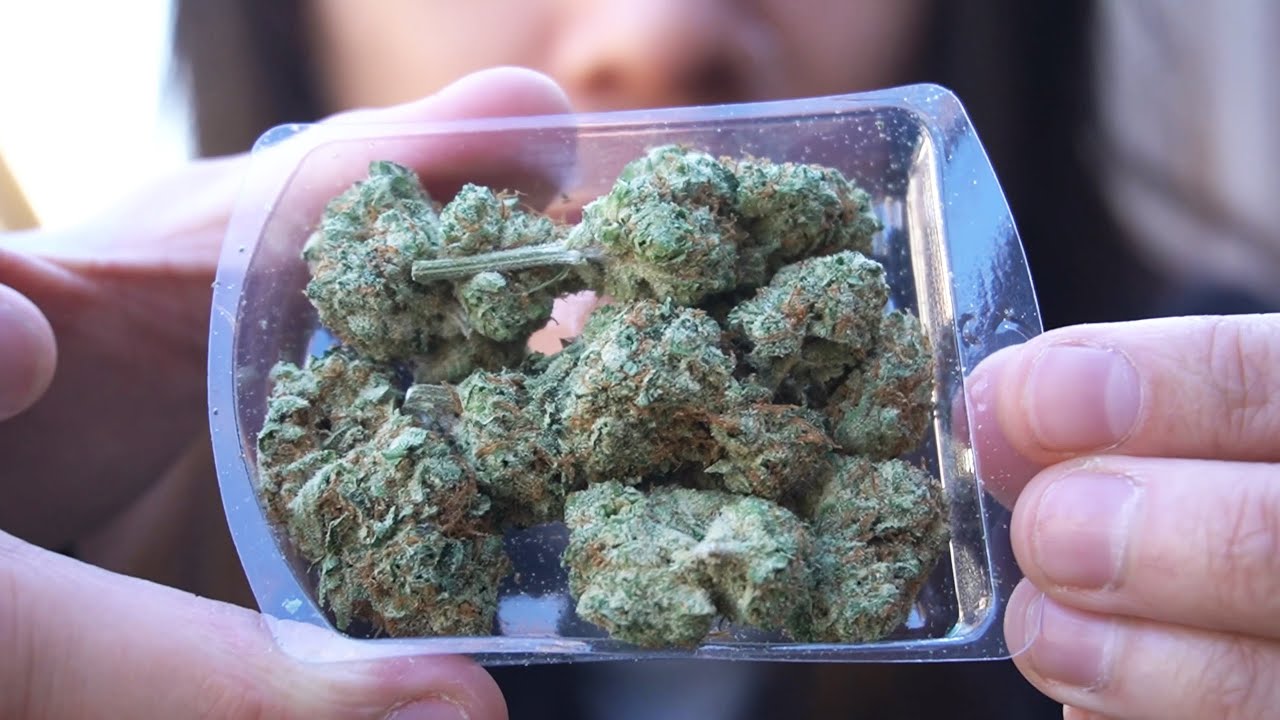 ПОПРОБУЕМ THCa FLOWER ОТ SIMPLYMARY