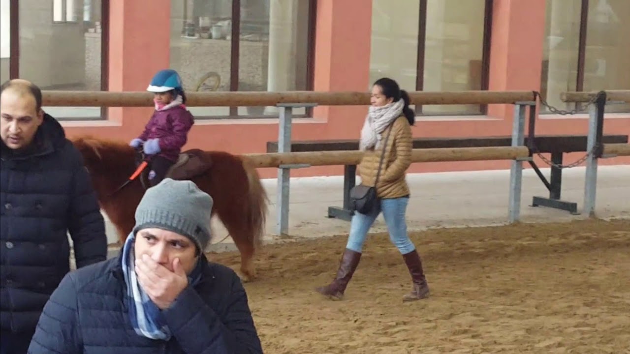 PONEY ANTSO LICORNE14