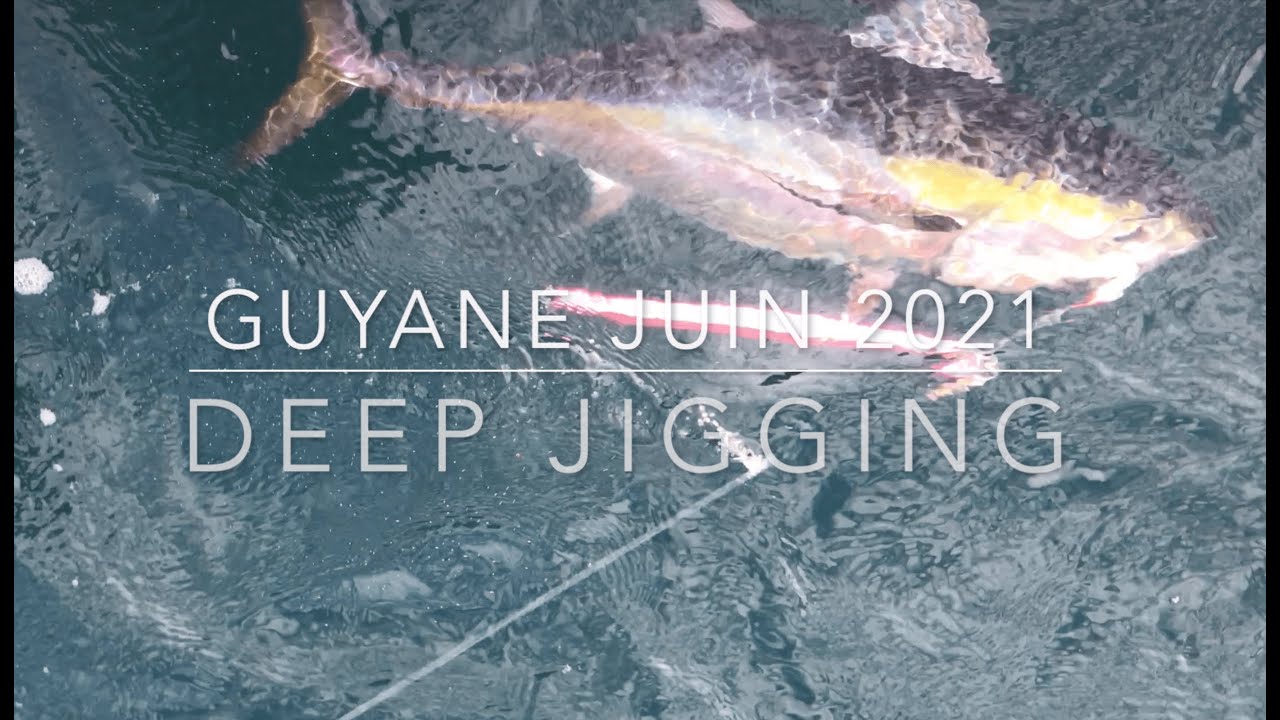Pêche Jig : Deep Jigging Guyane - Sériole Thon Requin Carangues
