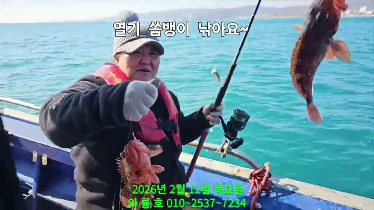 열기  쏨뱅이 낚아요 ~~#생활낚시 #열기낚시 #쏨뱅이 낚시 #경주선상낚시 #경주배낚시 #와룡호 