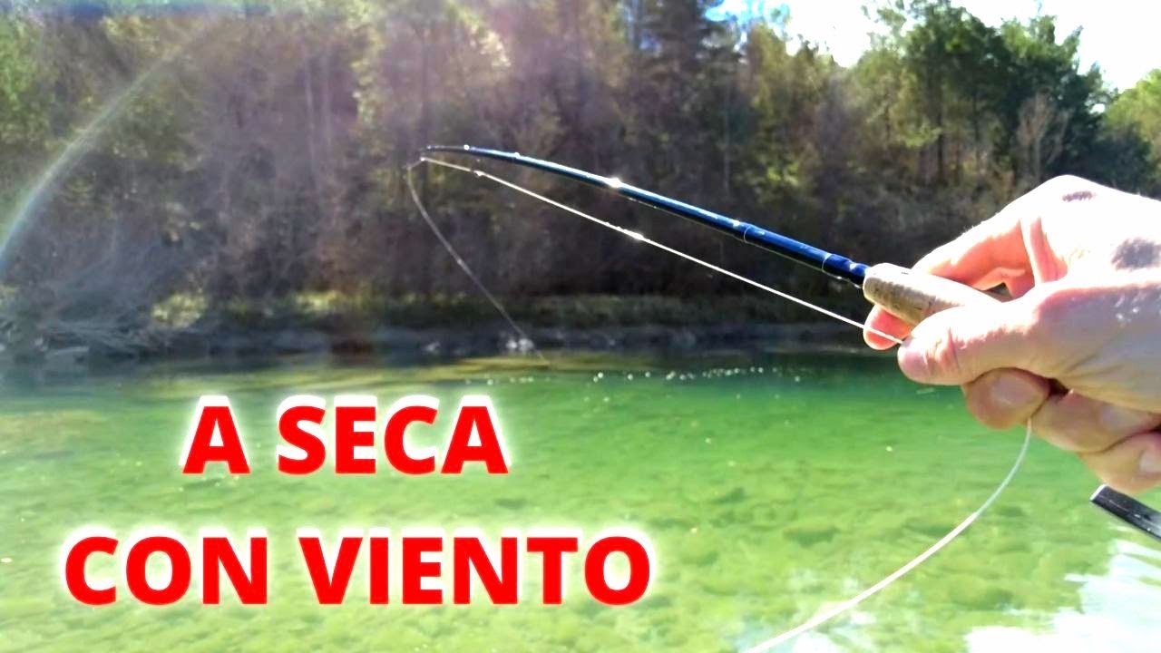Pescando con mosca SECA un día de VIENTO