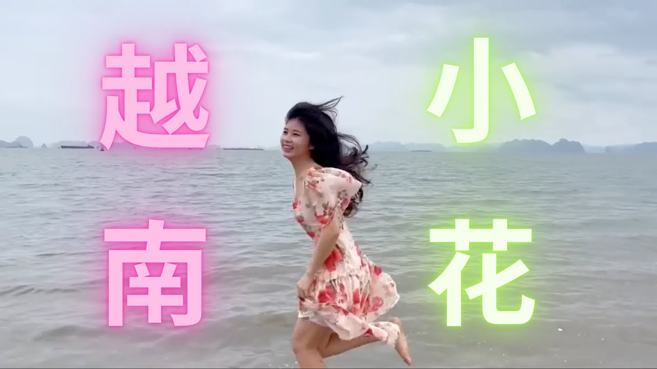 网红越南美食团队小花