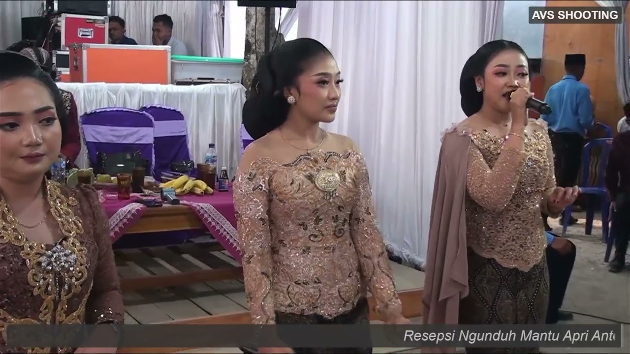LIVE PURWO WILIS - GUBUG ASMORO | PERNIKAHAN APRI & ERFINA | BAGONG AUDIO PRO | AVS SHOOTING