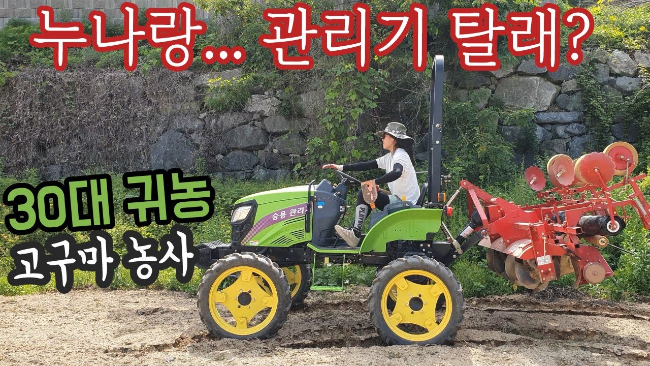 누나랑 관리기 탈래? 고구마 멀칭 30대 귀농-쨍이 ep48