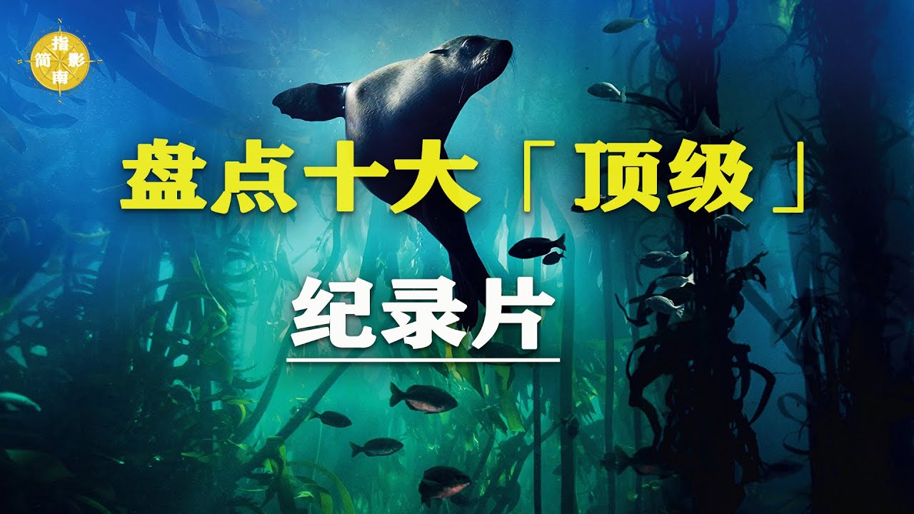 盘点 【十大顶级纪录片】 年轻人必看！自我提升 改变人生观Top 10 Top-rated Documentaries