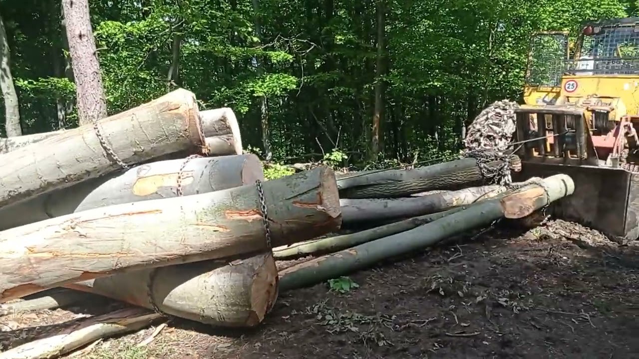 LKT 81 turbo , Lesn&aacute; lanovka - Pr&aacute;ca v lese a ťažba dreva