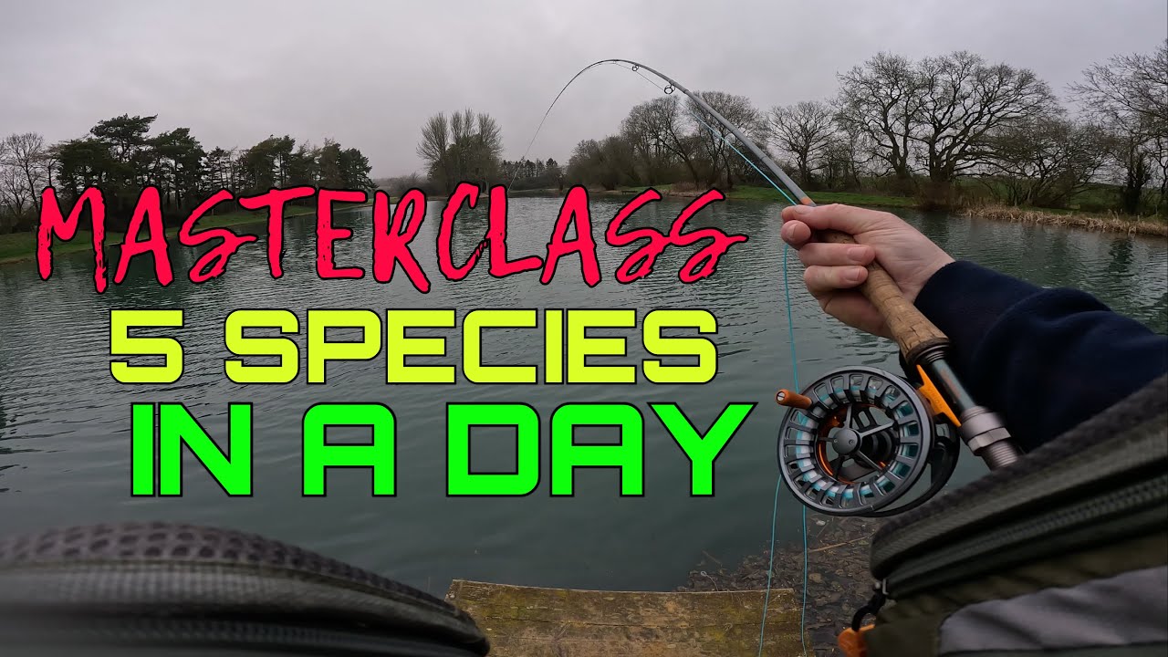 Мастер-класс - 5 видов форели за один день - Форелевые озера Солфорда