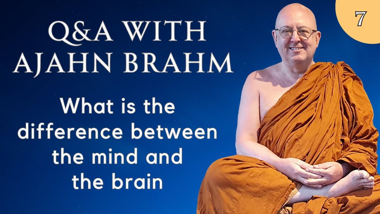 7) Mind & brain difference, past lives & terminal lucidity