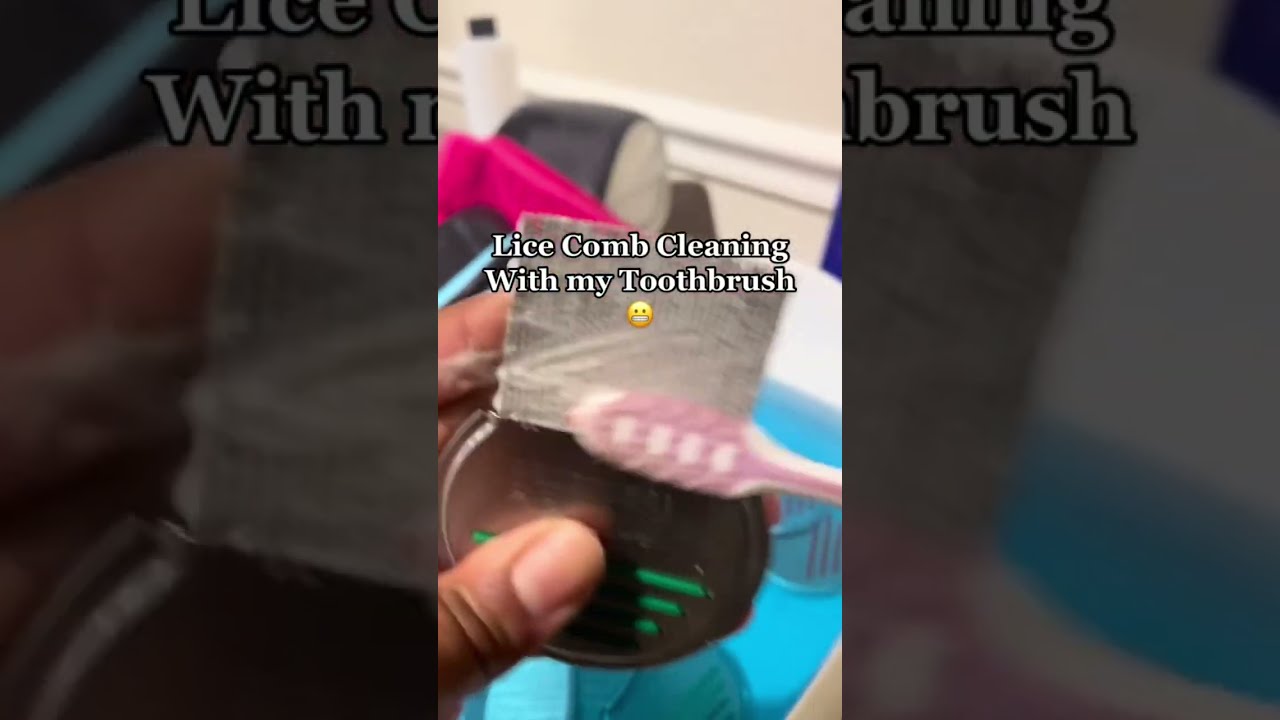 Lice Comb Cleaning 🧼 l Lice Removal Service @Thelousegirl