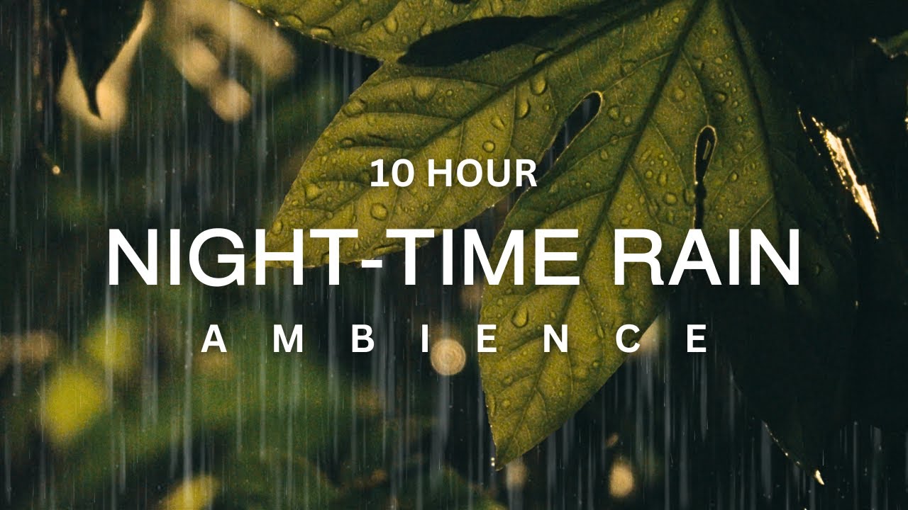 10 Hour | Gentle Summertime Night Rain Sounds for Deep Sleep and Calming Ambience