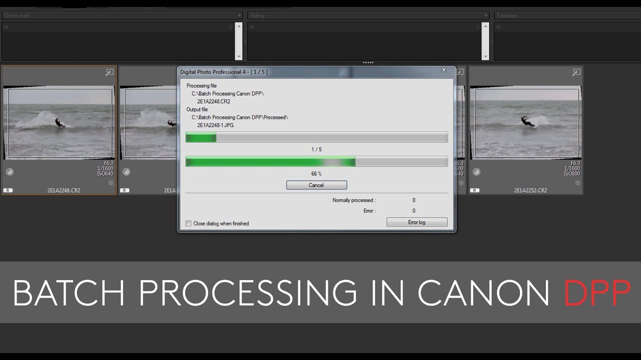 Batch Processing in Canon's DPP Editing Software