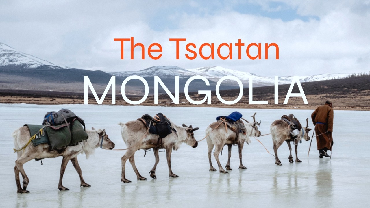 The Tsaatan: Mongolia’s Last Reindeer Nomads