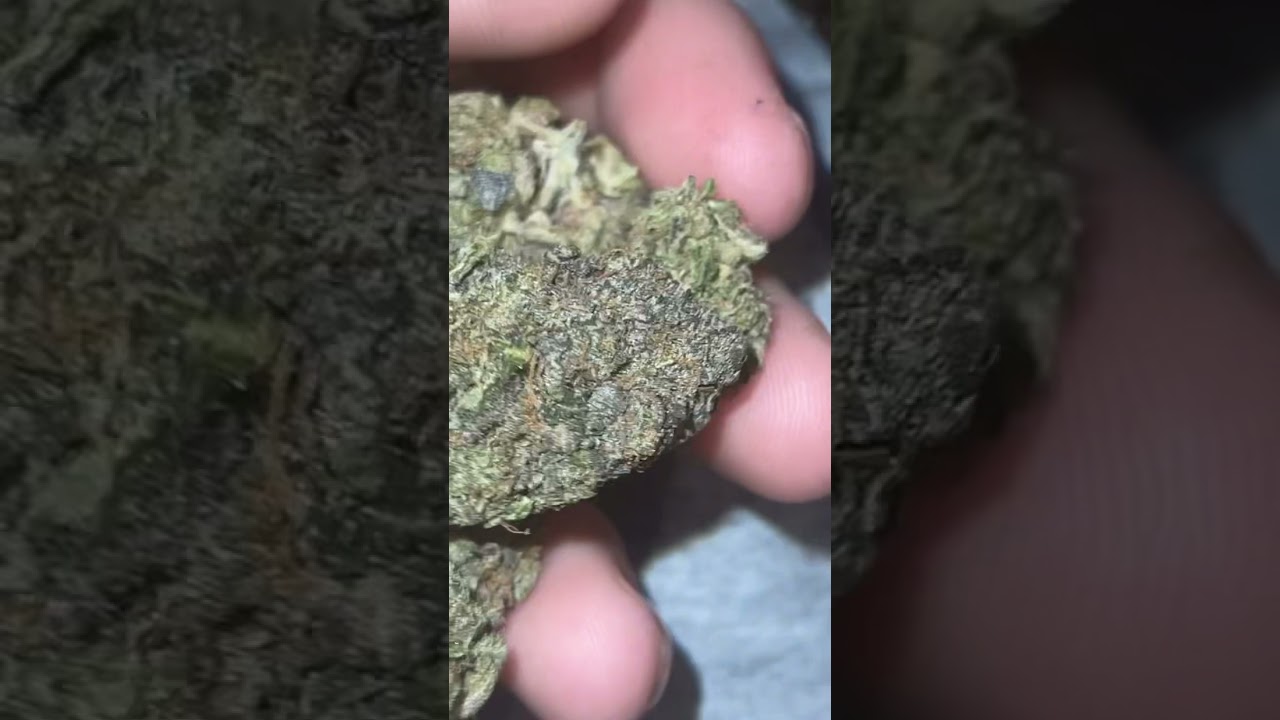 REAL Pink Runtz(Imported)