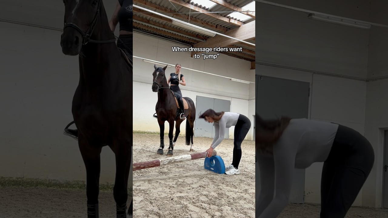 Still way too high&hellip; #equestrain #horse #short #viral
