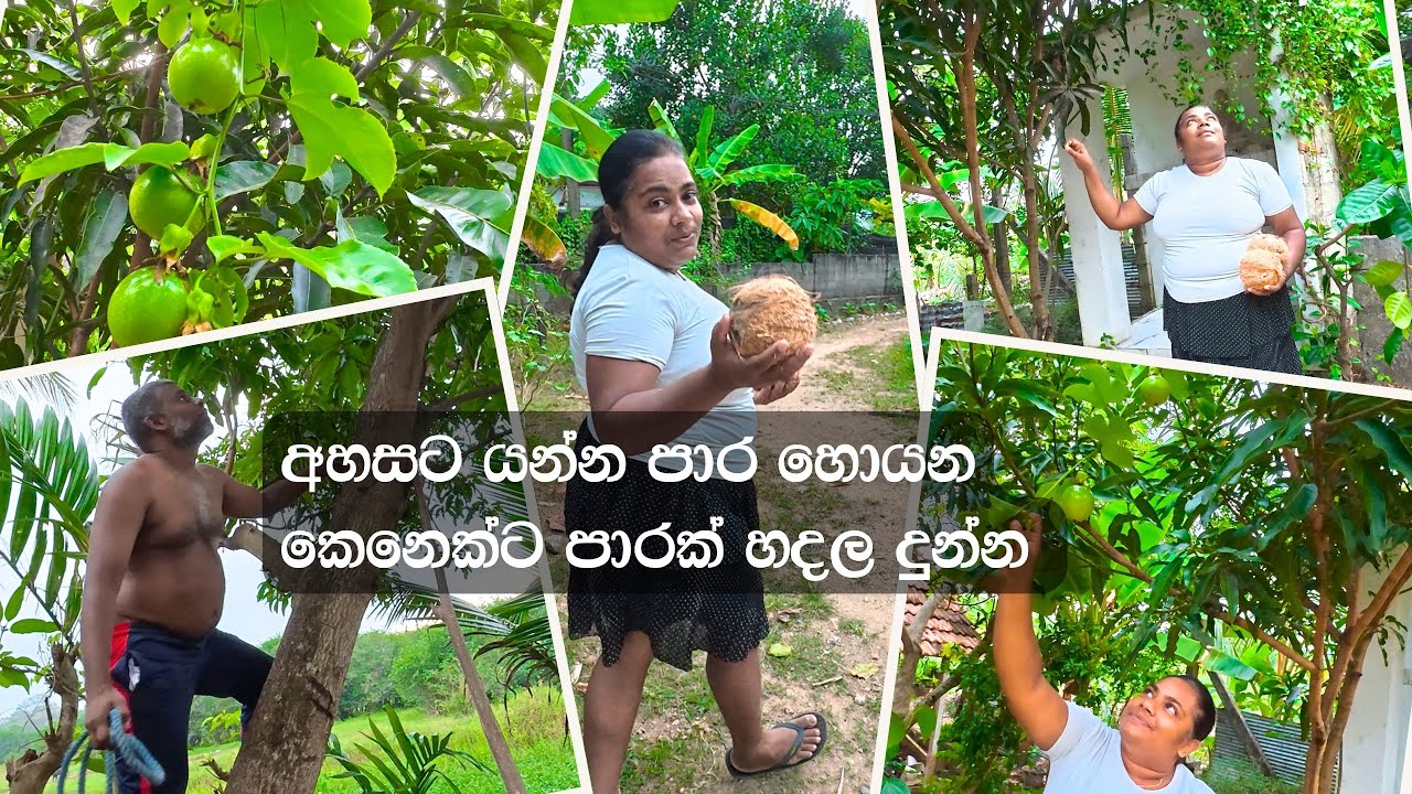 කිරි රසට කැමති අයට මෙන්න සුපිරි පොල් ටොෆියක් - Coconut Milk Toffie - VeggieMaster
