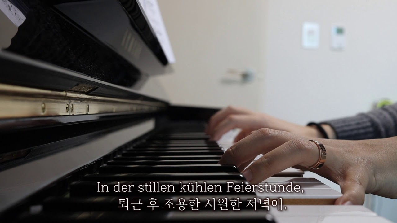 5. Am Feierabend Op.25 D.795 No.5 Piano accompaniment 반주-F.Schubert