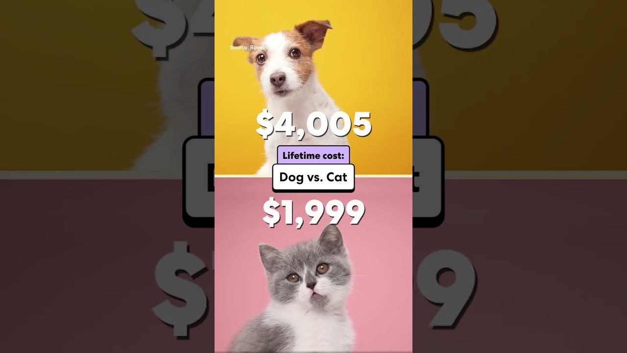 How much does it cost to own a pet?