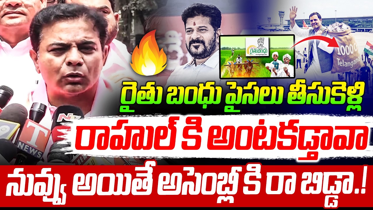 KTR Mass Waring To Cm Before Going To Assembly | నువ్వు అయితే అసెంబ్లీ కి రా బిడ్డా | RG TV TELUGI |