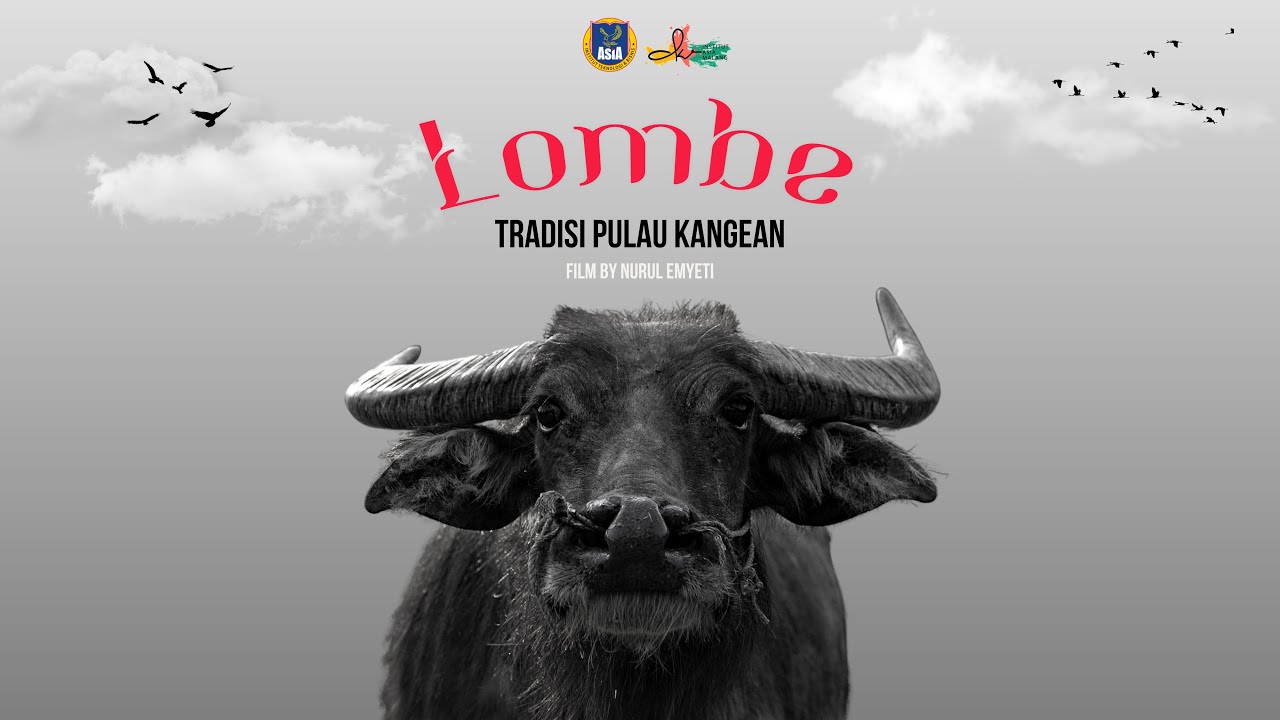 Dokumenter Tradisi LOMBE di Pulau Kangean (Karapan Kerbau)