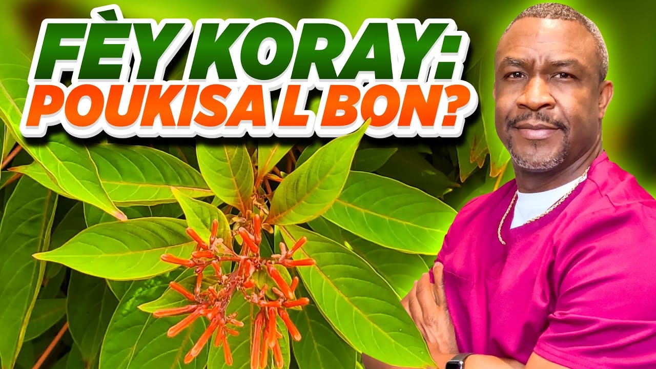 KORAY: Men Poukisa L Bon.