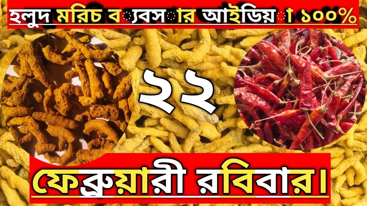 ২২ ফেব্রুয়ারী রবিবার। হলুদ মরিচ ব্যবসার আইডিয়া #হলুদ #হলুদের_বাজার #হলুদের_পাইকারি_বাজার 