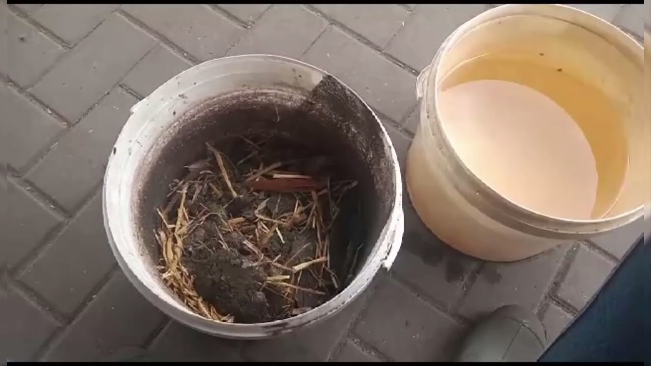 KURZAK - NATURALNY NAWÓZ DO OGRODU