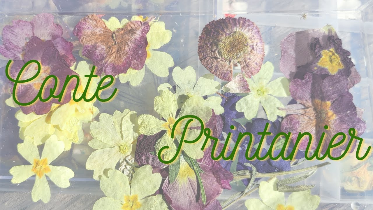 CONTE PRINTANIER
