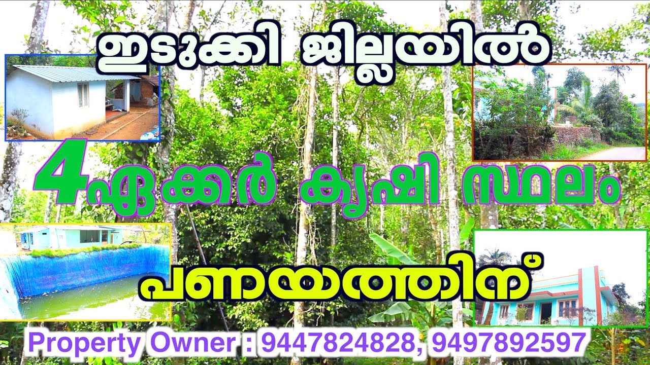 land for lease in idukki| agriculutral land for lease in idukki |SASIDHARAN IDKI 26 02 21 SHIHAB