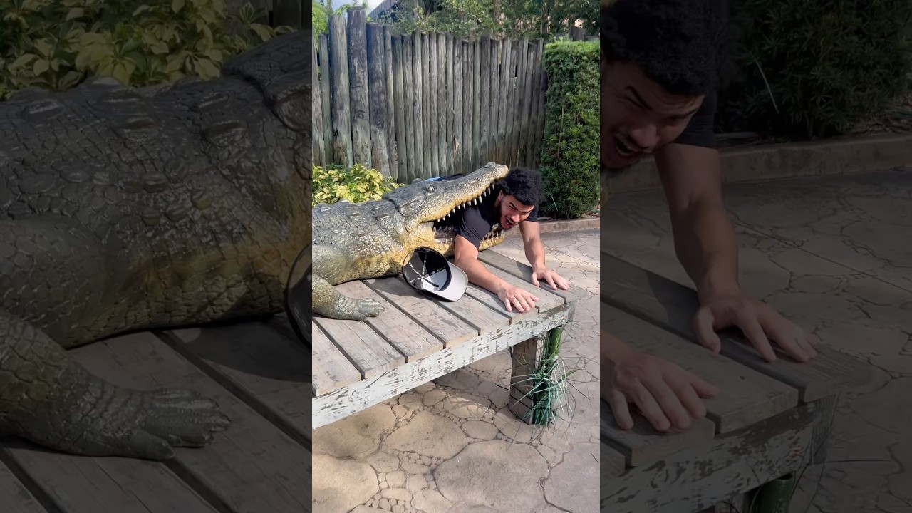 George Thought The Alligator Was Real 😂😂