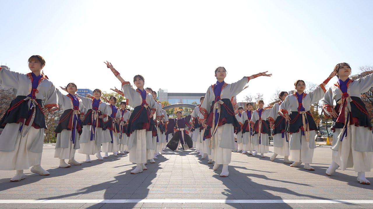 彩ノ京 -ハナノミヤコ- 📍四日市よさこい祭り やったろ舞 (市民公園会場) 2025-11-30T13:00