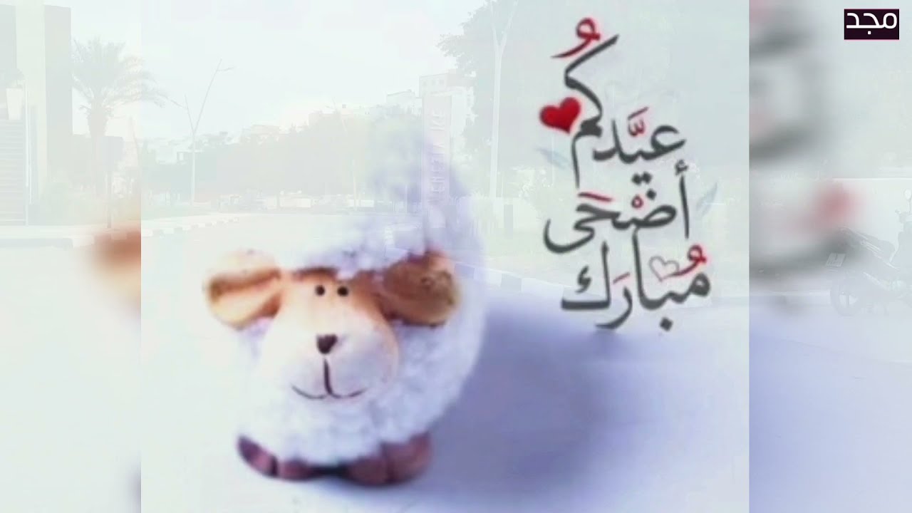 أجواء العيد بمدينة الناظور، كل عام و أنتم بخير و سلام | Nador 24: Aîd Adha Moubarak |Maroc 2021