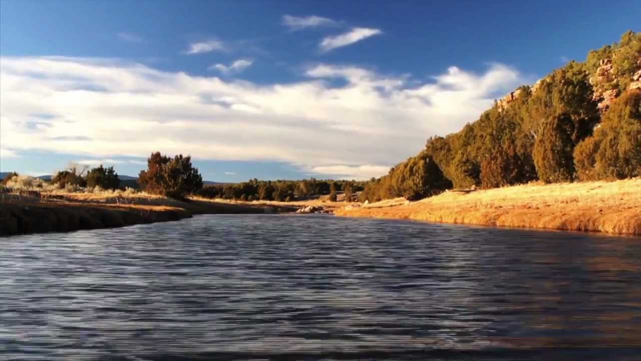 110123 tecolote creek TL audio HD