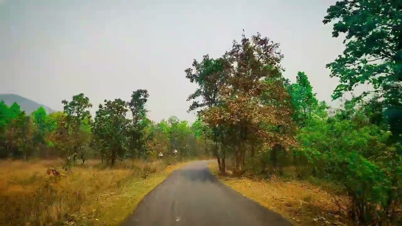 The middle way of Kuarmunda to Kacharu | Sundargarh dist.